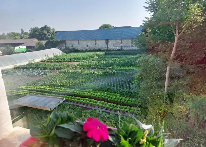 Ferme De La Riviere Bourdet